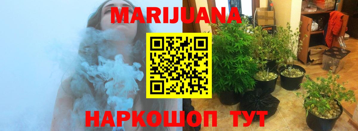 Каннабис гибрид  Канабис планчик  Вход с VPN  Канабис OG Kush  Сухой Лог  Шишки марихуана Ganja 