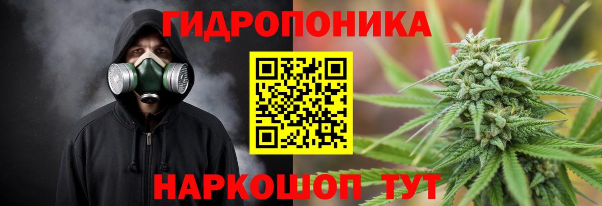 Конопля White Widow Сухой Лог